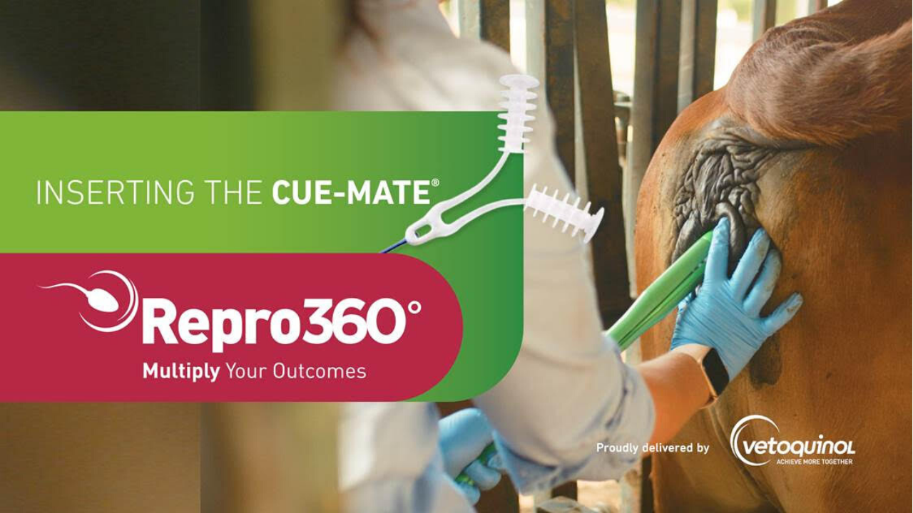 Inserting The Cue Mate Repro360